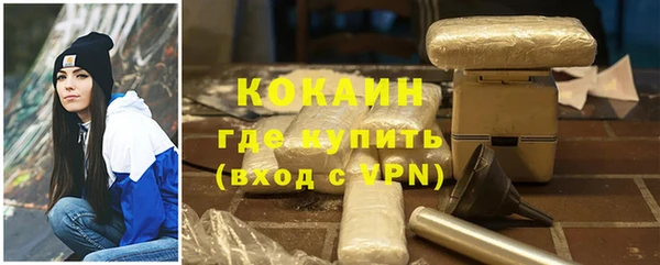 МДПВ Бородино