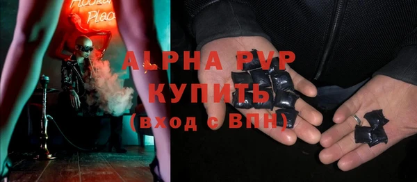 МДПВ Бородино
