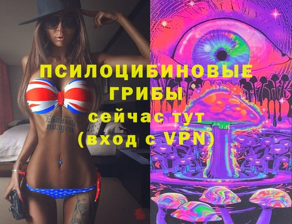 МДПВ Бородино