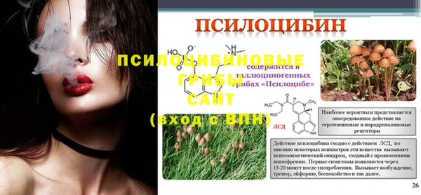 МДПВ Бородино