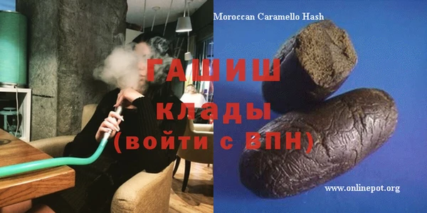 МДПВ Бородино