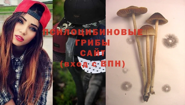 МДПВ Бородино