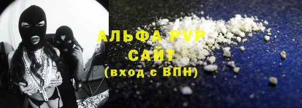 МДПВ Бородино